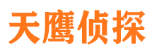 铁锋私人侦探